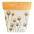 Load image into Gallery viewer, Billy Buttons Gift of Seeds