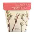 Load image into Gallery viewer, Kangaroo Paw Gift of Seeds