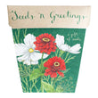 Load image into Gallery viewer, Seeds ‘n Greetings Gift of Seeds