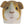 Load image into Gallery viewer, Gold and White Guinea Pig Face Egg Cup
