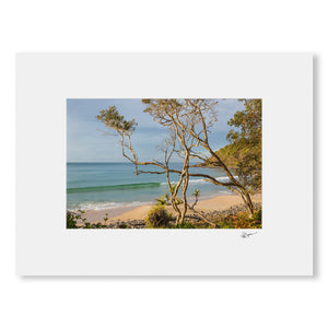 Afternoon Delight Photographic Print