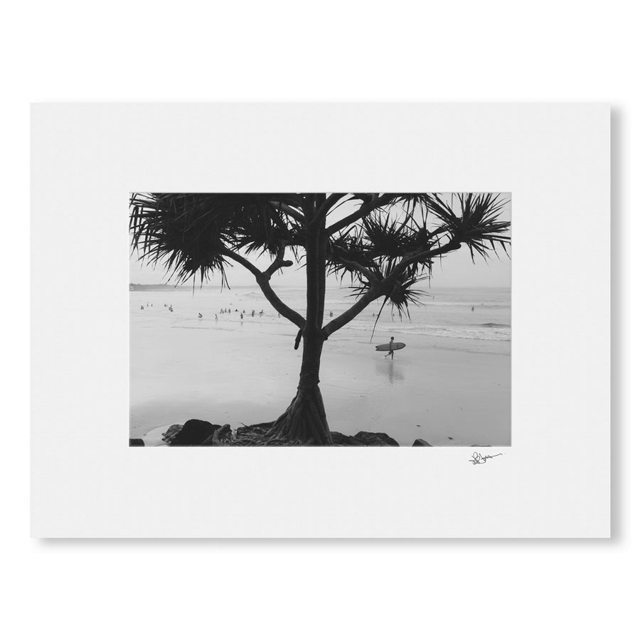 Middle Tree Photographic Print