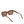 Load image into Gallery viewer, Antagonist Sunglasses Brown Tort

